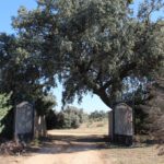 Parques en el trastero