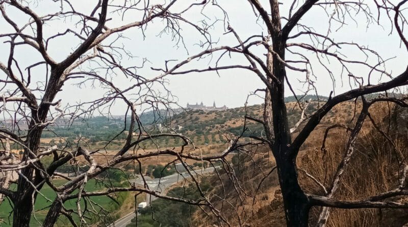 Vista de Toledo