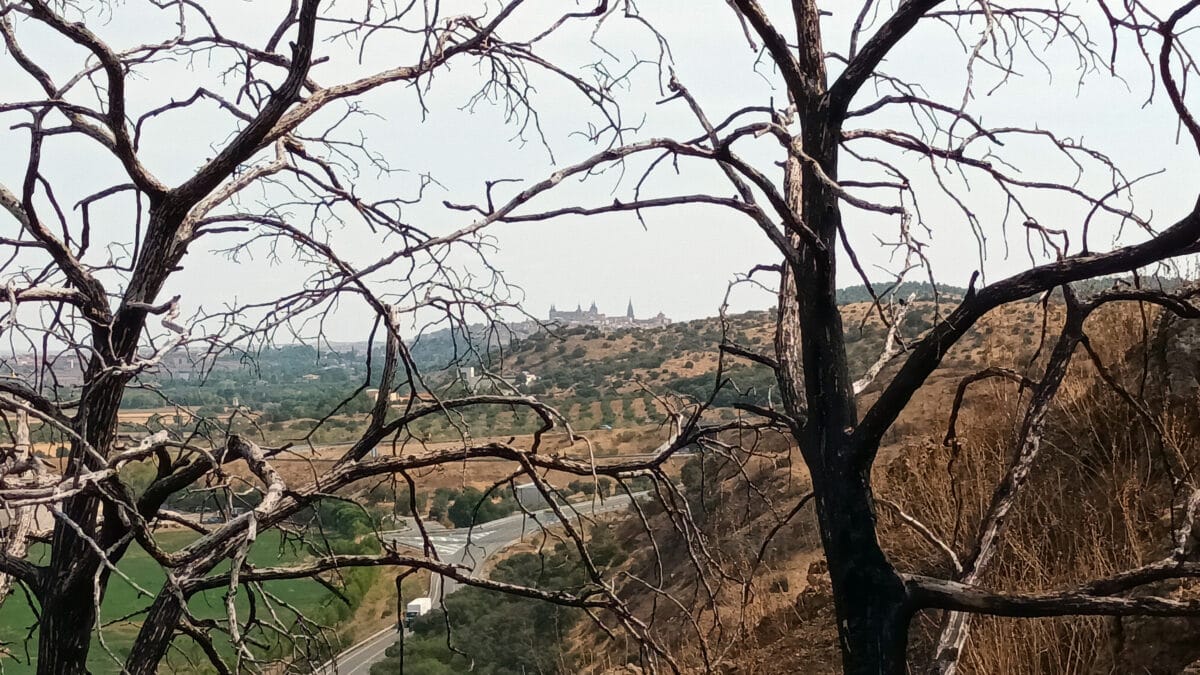 Cuando un monte se quema, algo suyo se quema… Señor Conde